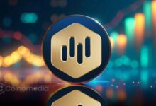 MBG utility token price growth chart showing 7x surge
