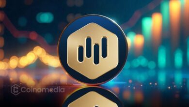 MBG utility token price growth chart showing 7x surge