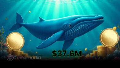 Mysterious-Whale