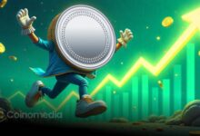 NUPL chart analysis showing current crypto cycle trends