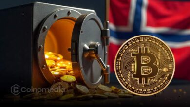 Norway sovereign fund Bitcoin exposure graph showing 7,161 BTC worth $862.8M