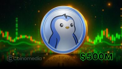 PENGU Trading Volume Hits $500M in 24 Hours