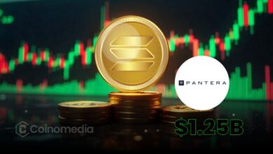 Solana investment firm by Pantera Capital with $1.25B fund