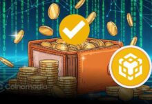 Blockchain data showing TST developer address on BNB Chain selling $30K in tokens
