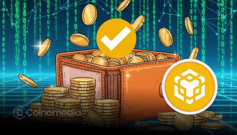 Blockchain data showing TST developer address on BNB Chain selling $30K in tokens