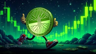 Chart showing $TREE bullish divergence pattern and staking opportunity