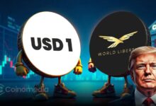WLFI Points Program rewards for trading and staking