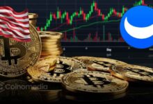 Webull crypto trading platform resumes in U.S.