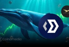 Whale buys $BLOCK tokens before $WLFI launch
