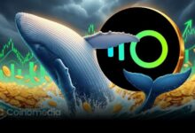 $INSP whale accumulation chart showing wallet holdings