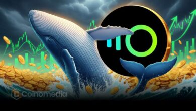 $INSP whale accumulation chart showing wallet holdings