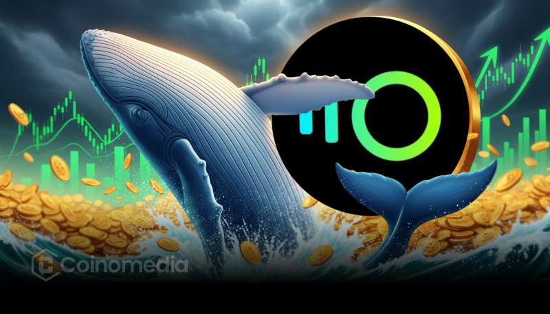 $INSP whale accumulation chart showing wallet holdings