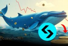 Chart showing BGB whale accumulation and token burn impact