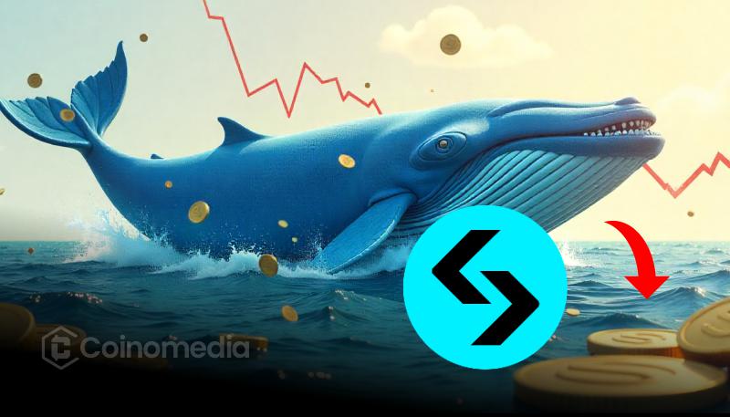 Chart showing BGB whale accumulation and token burn impact