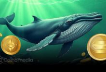 Whale Bets Big: Long on SOL, Short on ETH