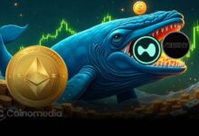 Whale sells altcoins to open ETH long position
