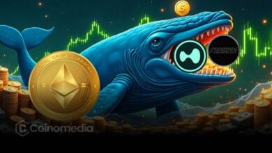 Whale sells altcoins to open ETH long position