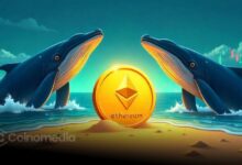 Ethereum Foundation Wallet Sells $28M in ETH Over 3 Days