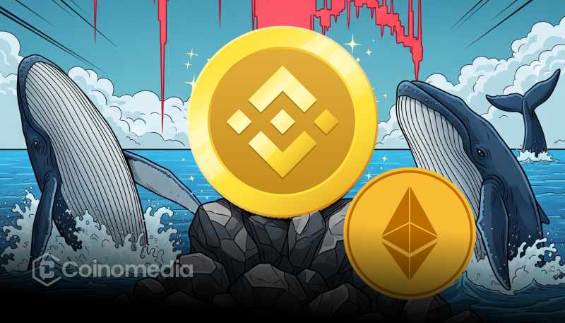 Whale deposits 5,125 ETH to Binance for $9.4M profit