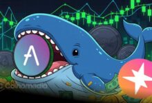 Whale 8dduty AVA and PUMP crypto holdings chart