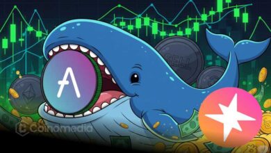 Whale 8dduty AVA and PUMP crypto holdings chart