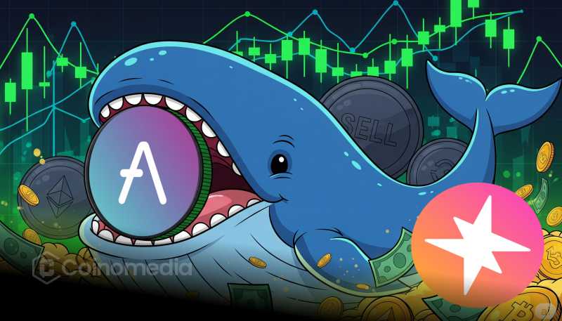 Whale 8dduty AVA and PUMP crypto holdings chart