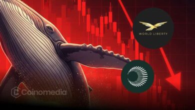 Whale shorting loss on XPL and WLFI using leverage