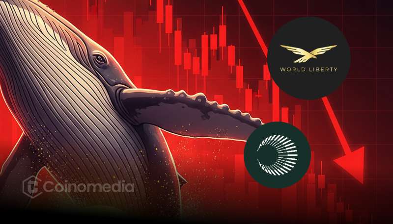 Whale shorting loss on XPL and WLFI using leverage