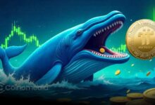 Whale accumulates $148M in PI tokens in strategic move
