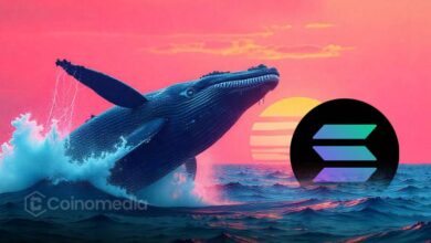 Whale transfers 71,000 SOL from Binance to Kamino Finance on Solana