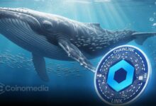 Whales Accumulate $LINK as On-Chain Activity Surges