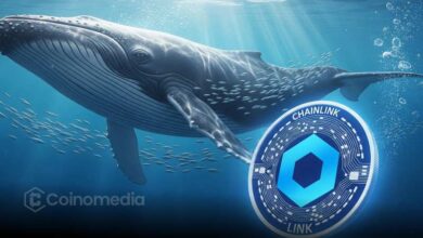 Whales Accumulate $LINK as On-Chain Activity Surges