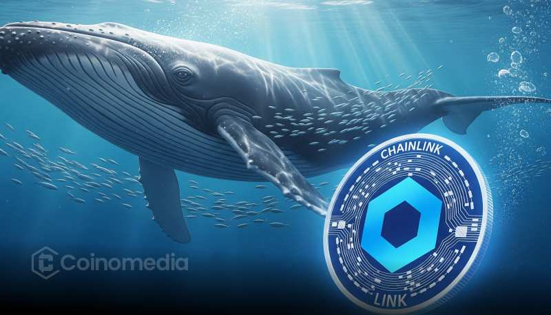 Whales Accumulate $LINK as On-Chain Activity Surges