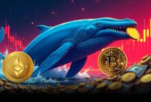 Whale 0x06f5 crypto trading strategy short BTC long ETH
