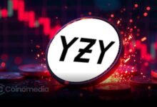 Chart showing YZY trading data with profit and loss distribution across wallet addresses
