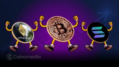 Chart showing Bitcoin, Ethereum, and Solana prices stabilizing after liquidation