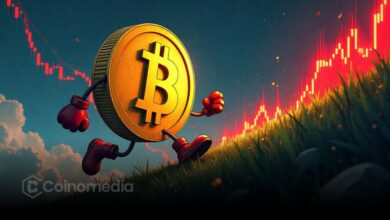 Bitcoin Rebound: $112K Hold Could Spark Move to $120K