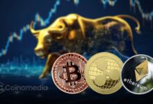Chart showing altcoin dominance signaling bullish reversal