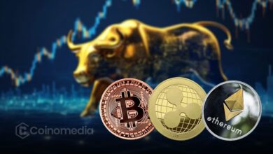 Chart showing altcoin dominance signaling bullish reversal