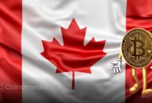 Canada to Remove Tariffs on U.S. Goods: Market Bullish