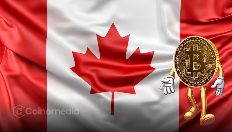Canada to Remove Tariffs on U.S. Goods: Market Bullish