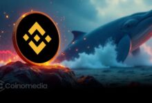 Binance dump alert showing BTC and ETH whale transfers to Wintermute