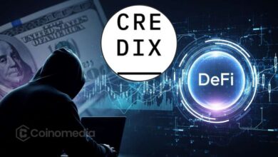 DeFi platform CrediX exploited via admin access attack