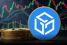 GALA Head and Shoulders pattern breakdown chart