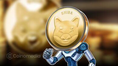 Shiba Inu price prediction chart showing 156% bullish divergence potential