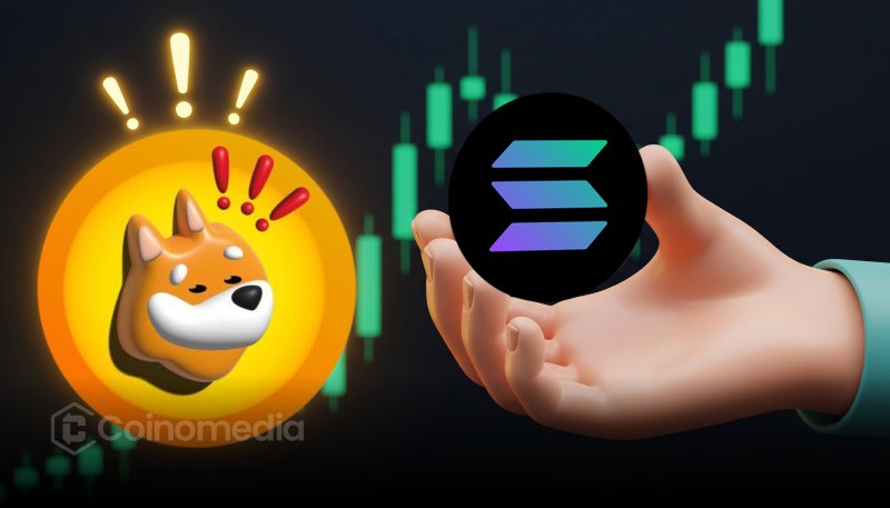Bonk dominates Solana memecoin race with 66.5% market share