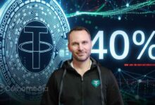 USDT on-chain fees chart showing 40% usage