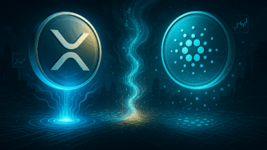 CEX Listing May Be Days Away As Remittix Hits $19.3M and Gains Momentum Over XRP!