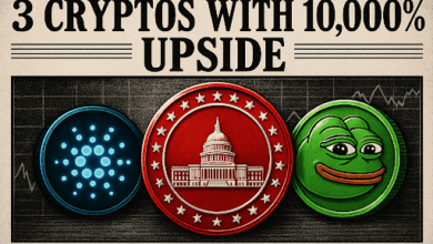 MAGACOIN FINANCE, Cardano & PEPE Seen as 3 Best Cryptos With 10,000% Upside Potential