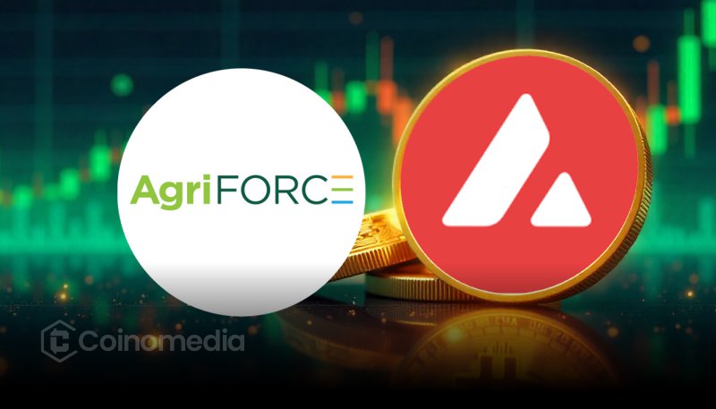 AVAX price chart showing surge after leveraged long position and AgriFORCE news